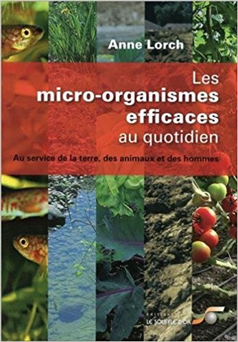 Les micro-organismes au quotidien