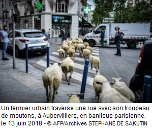 Vers une ville agricole ?