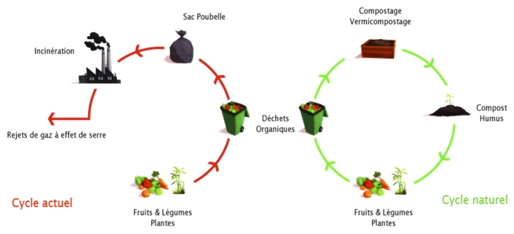 Le cercle vertueux du compost